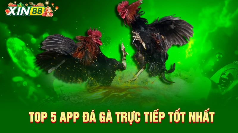 Top 5 ứng dụng đá gà trực tiếp tốt nhất